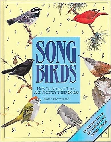 Tapa de Songbirds