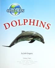 Tapa de Dolphins