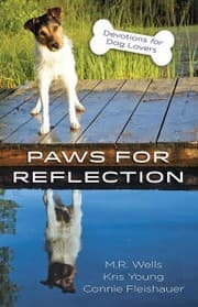 Tapa de Paws for Reflection