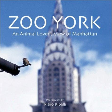 Tapa de Zoo York