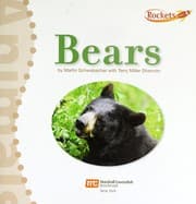 Tapa de Bears