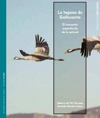Tapa de La laguna de Gallocanta