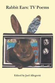 Tapa de Rabbit Ears