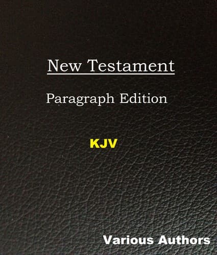 Tapa de New Testament: Paragraph Edition