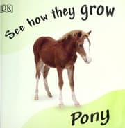 Tapa de Pony