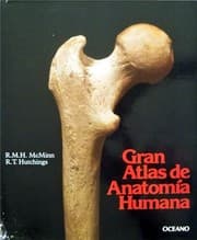 Tapa de Gran atlas de anatomía humana