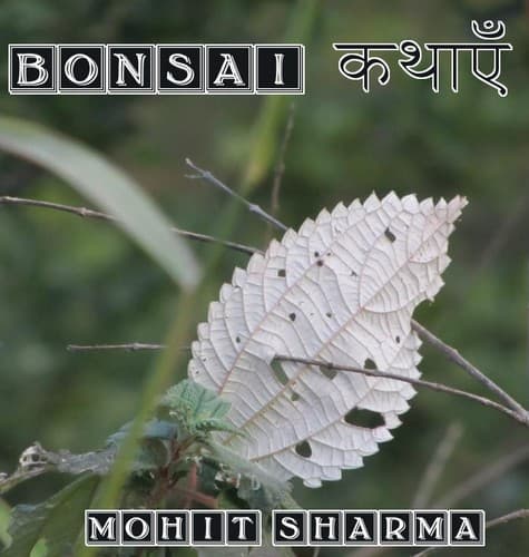 Tapa de Bonsai Kathayen