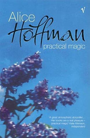 Tapa de Practical Magic