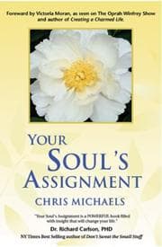 Tapa de Your Soul's Assignment