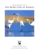 Tapa de The Secret Life of Animals