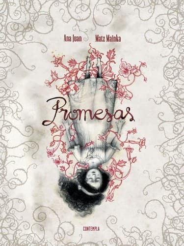 Tapa de Promesas