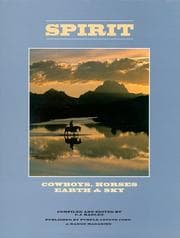 Tapa de Spirit