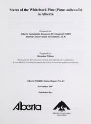 Tapa de Status of the whitebark pine (Pinus albicaulis) in Alberta / prepared for Alberta Sustainable Resource Development (SRD), Alberta Conservation Association (ACA) ; prepared by Brendan Wilson