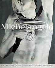 Tapa de Michelangelo