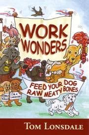 Tapa de Work Wonders