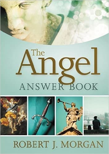 Tapa de The Angel Answer Book