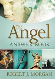 Tapa de The Angel Answer Book