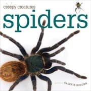 Tapa de Spiders