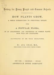 Tapa de Botany for young people and common schools