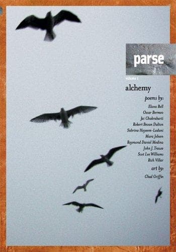 Tapa de PARSE, Vol. 1