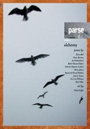 Tapa de PARSE, Vol. 1