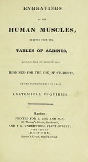 Tapa de Engravings of the human muscles