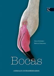 Tapa de Bocas