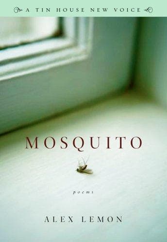 Tapa de Mosquito