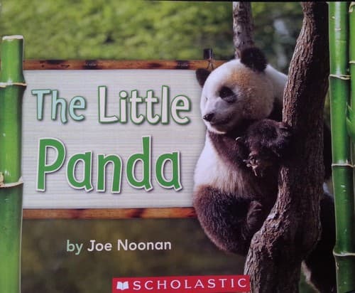 Tapa de The Little Panda