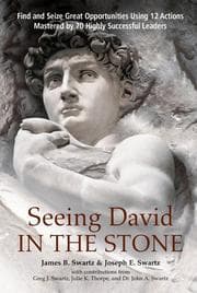 Tapa de Seeing David in the stone