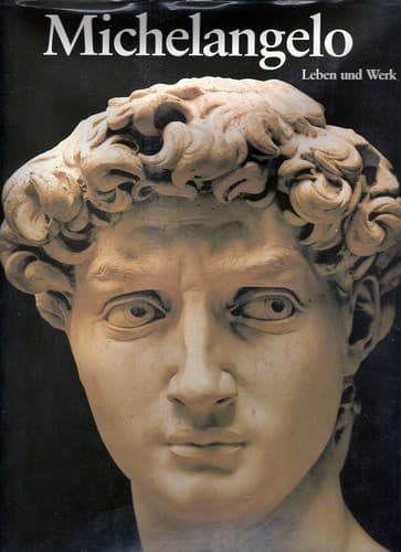 Tapa de Michelangelo