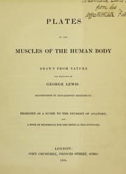 Tapa de Plates of the muscles of the human body drawn from nature