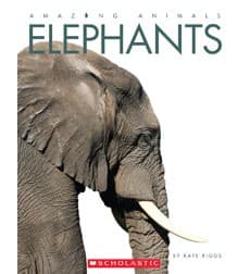 Tapa de Amazing Animals: Elephants