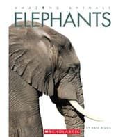 Tapa de Amazing Animals