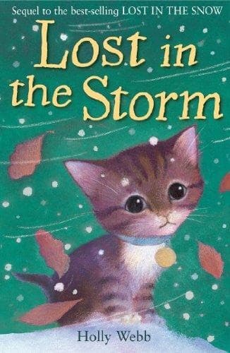 Tapa de Lost in the Storm