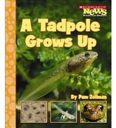 Tapa de A tadpole grows up