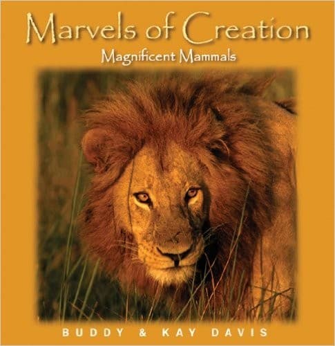 Tapa de Magnificent Mammals