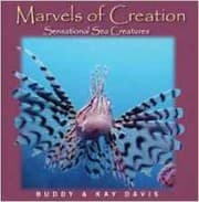 Tapa de Sensational Sea Creatures