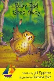 Tapa de Baby Owl Goes Away