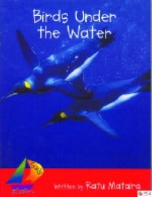 Tapa de Birds Under the Water