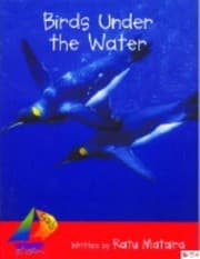 Tapa de Birds Under the Water