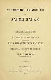 Tapa de Die embryonale Entwickelung von Salmosalar ...