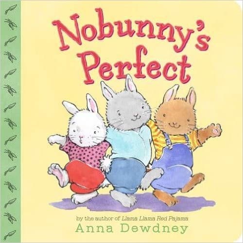 Tapa de Nobunny's perfect