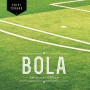 Tapa de Bola