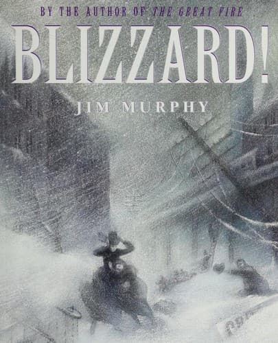Tapa de Blizzard