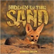 Tapa de Hidden in the sand
