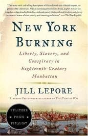 Tapa de New York Burning