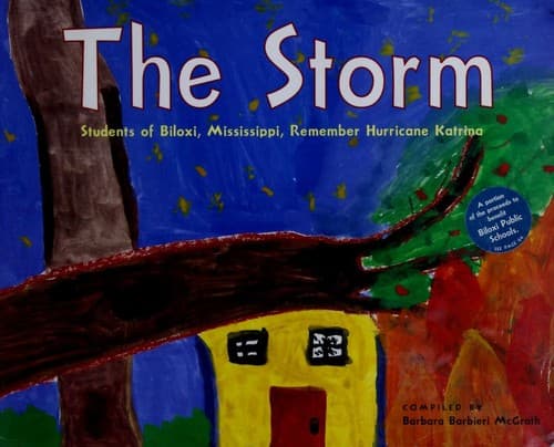 Tapa de The storm