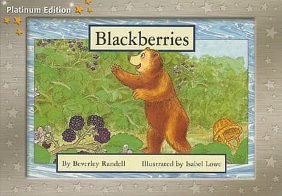 Tapa de Blackberries