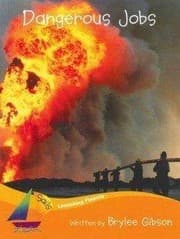 Tapa de Dangerous Jobs